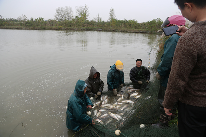 IMG_9705_副本.jpg