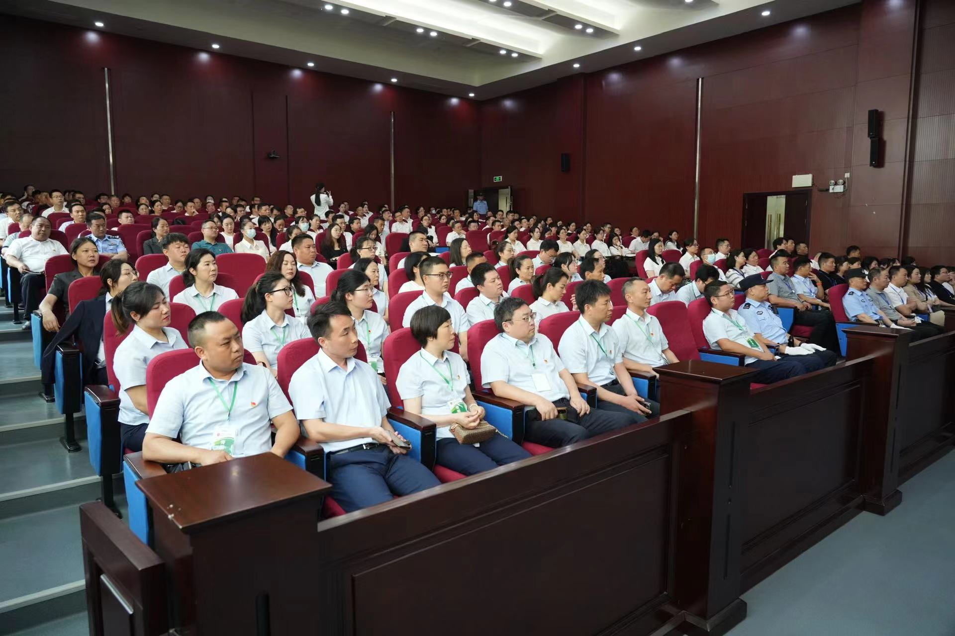 ab240dd90d241fd583acca375d1bf86.jpg